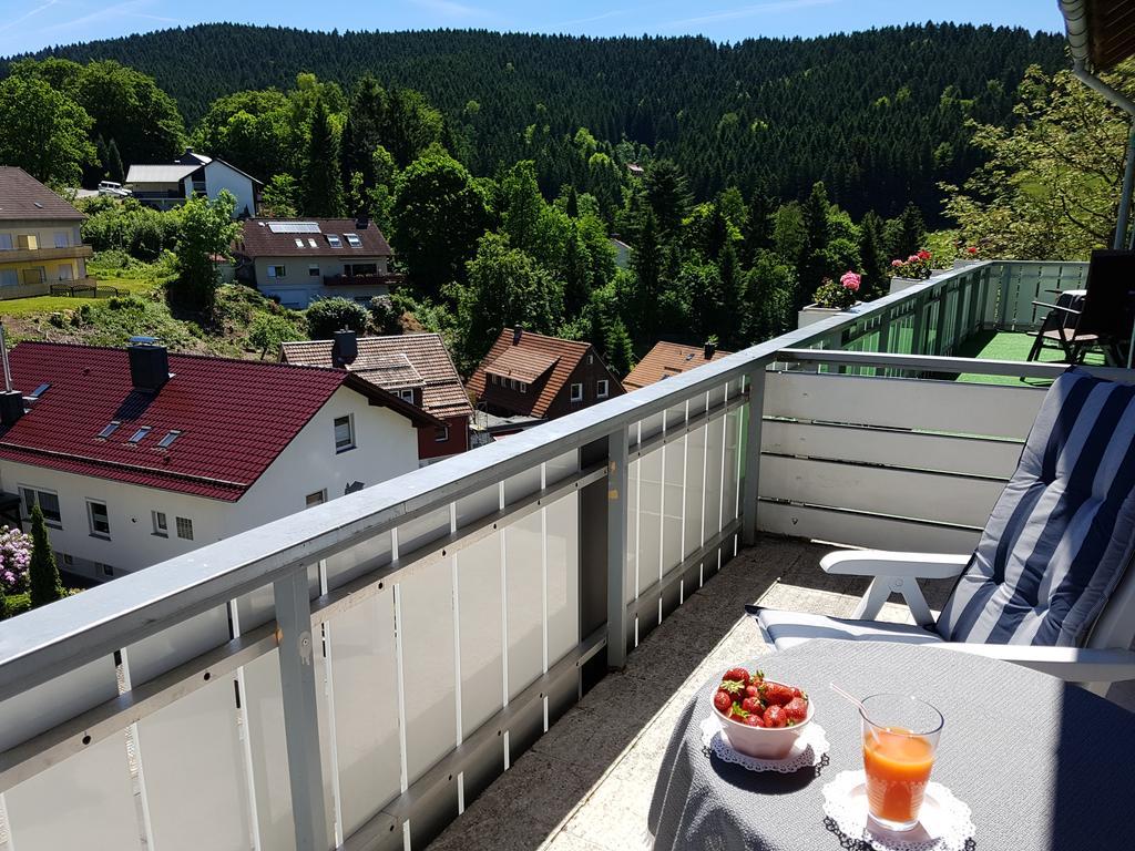 Hotel Pension Jaegerstieg Bad Grund Exterior photo
